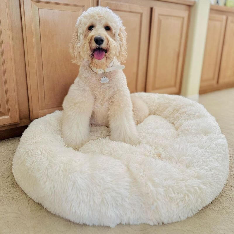 ChienCâlin™ - Coussin Anti-Stress Pour Chien