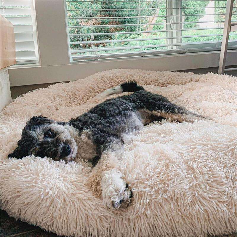 ChienCâlin™ - Coussin Anti-Stress Pour Chien