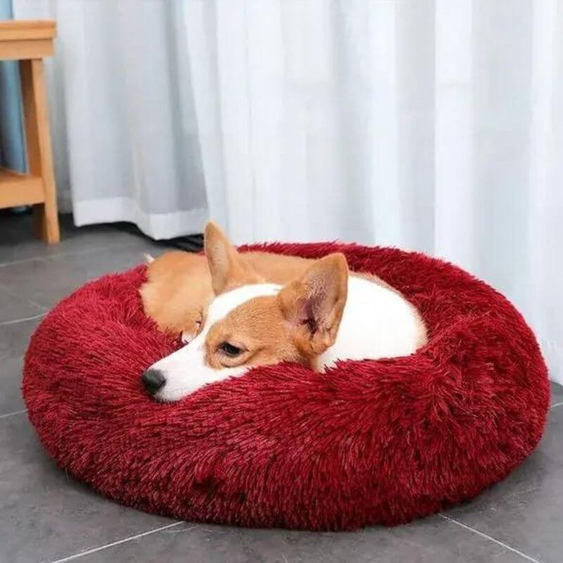 ChienCâlin™ - Coussin Anti-Stress Pour Chien